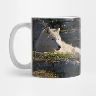 Arctic Wolf Mug